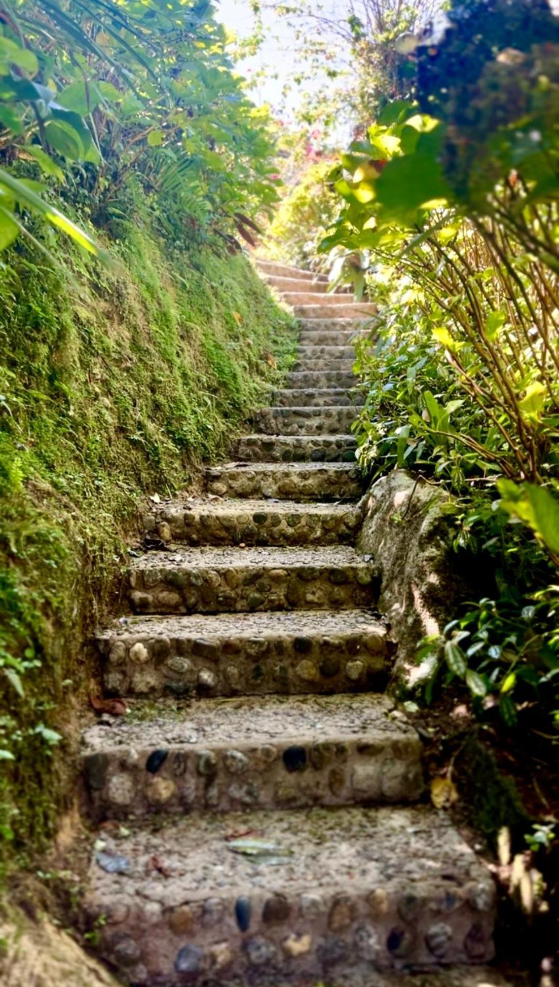 Pousada Céu Aberto * Itatiaia (Rio de Janeiro)